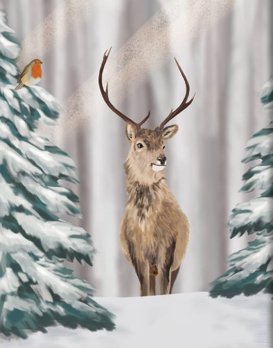 Capturing Seasonal Landscapes