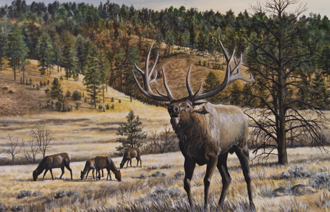 Celebrating Nature’s Majesty