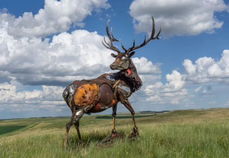 Community Engagement and Artistic Collaboration