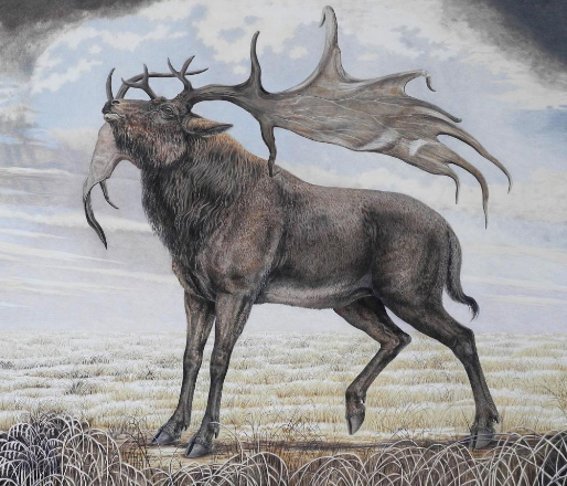 Community and Conservation