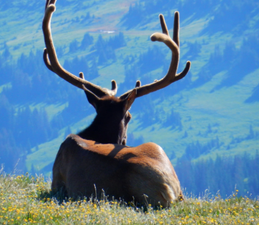 Connections to Human Experience