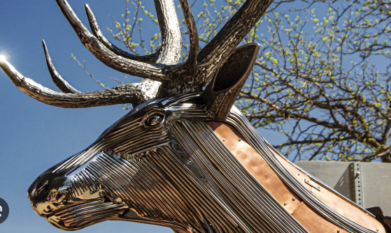 Eco-Consciousness and Art