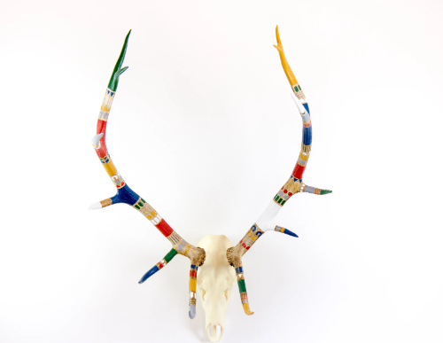 Elk Antlers as Artistic Inspiration