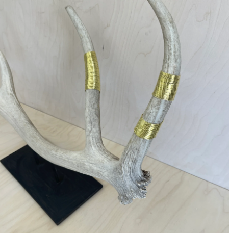 Elk Antlers as Artistic Inspiration2