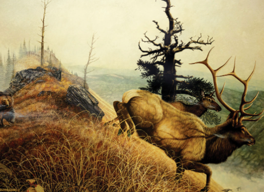 Elk Art Based on Field Observation