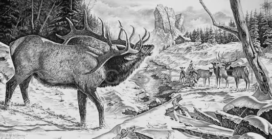 Elk Art Emphasizing Natural Detail2