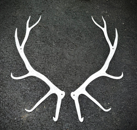 Elk Art Focused on Antler Forms