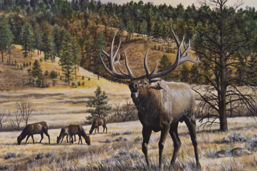 Elk Art Inspired by Elk Behavior