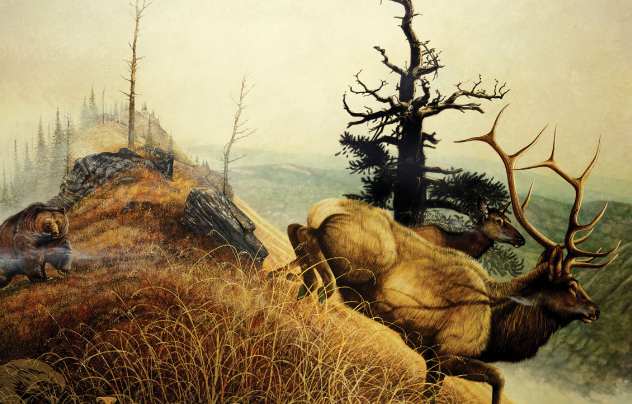 Elk Art and Environmental Art Movements