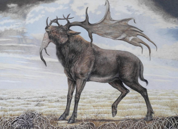 Elk Art and Environmental Art Movements1