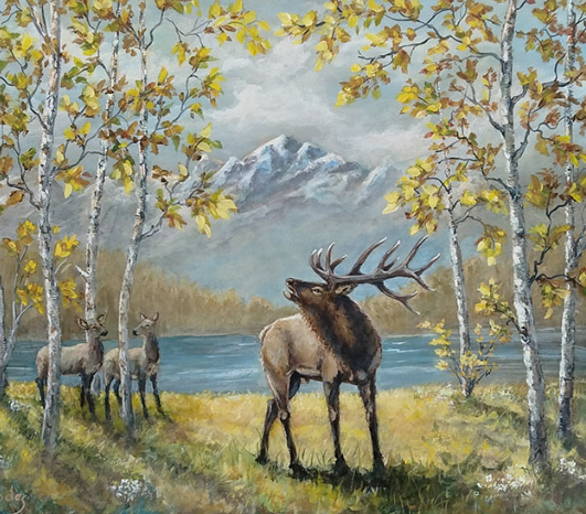 Elk Art as Educational Displays