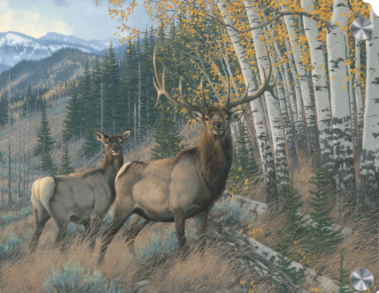 Elk Art for Mountain Homes