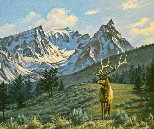 Elk Art in Cultural Landscapes