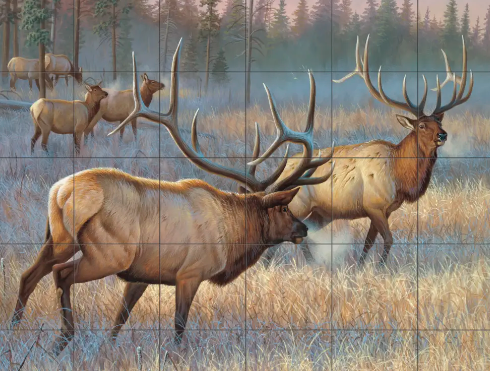 Elk Art in Ecotourism