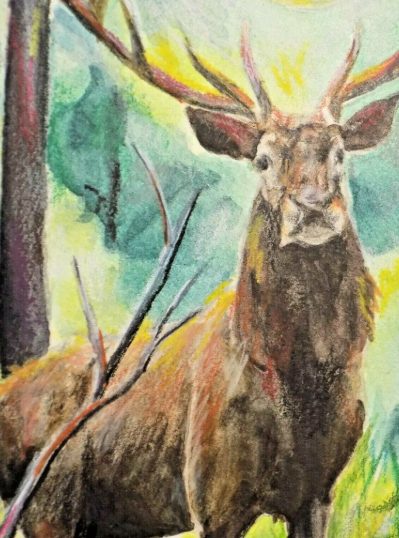Elk Art in Mixed Media2