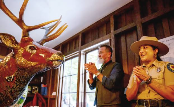 Elk Art in National Park Gift Shops1