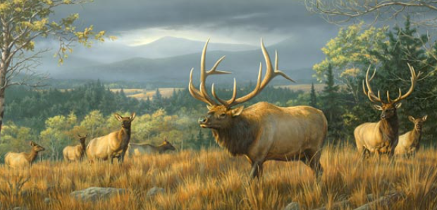 Elk Art in Tourism Destinations