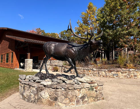Elk Art in Visitor Centers