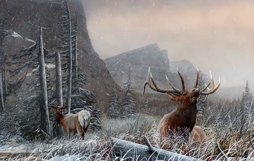 Elk Art