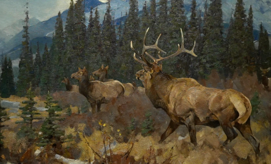 Exploring Elk Art and Wildlife Storytelling