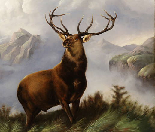 Exploring Realism in Elk Portraits
