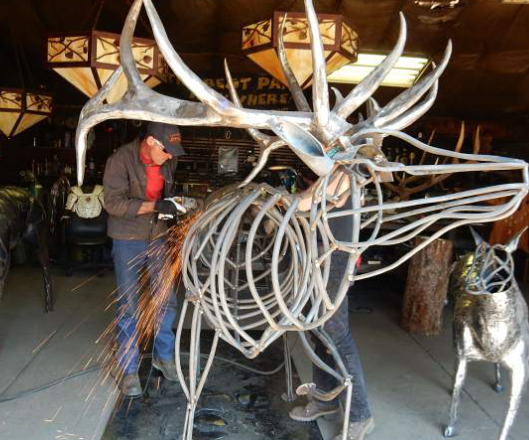 Highlighting Conservation through Creativity