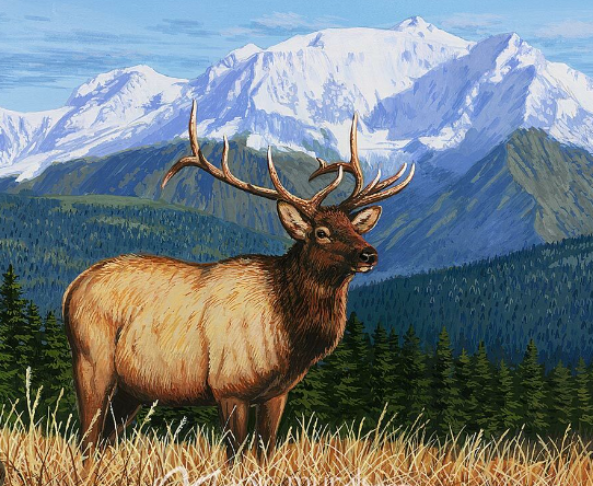 Incorporating Elk Art into Your Decor