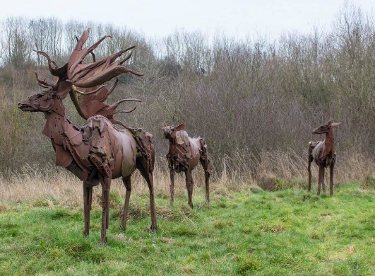 Innovative Approaches and Techniques