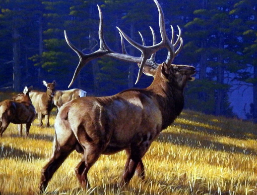 Materials and Techniques in Elk Art