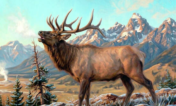 Outdoor Elk Art for Landscaping