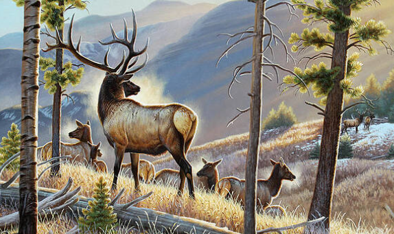 Outdoor Elk Art for Landscaping2