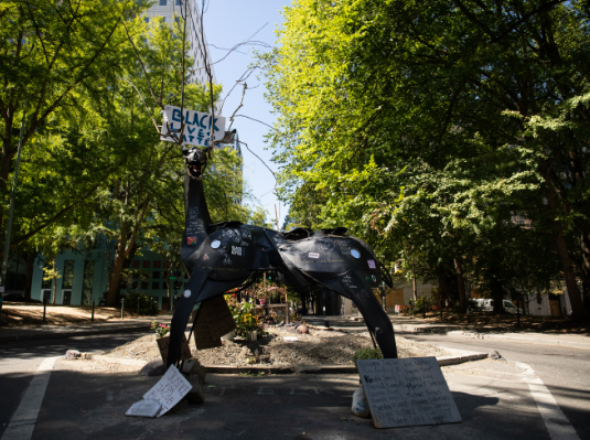 Promoting Conservation Awareness