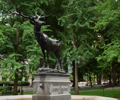 Promoting Conservation Awareness2