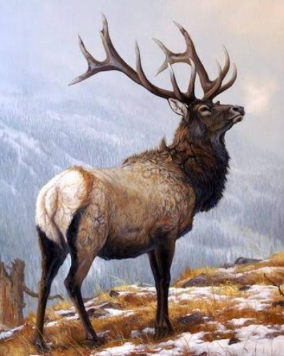 Stylized Elk Art Interpretations