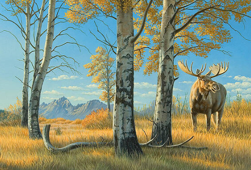 The Allure of Moose in Art