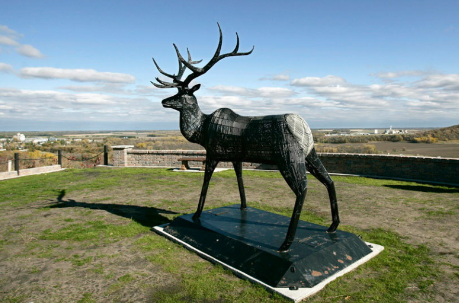 The Artistic Scale of Elk Sculptures