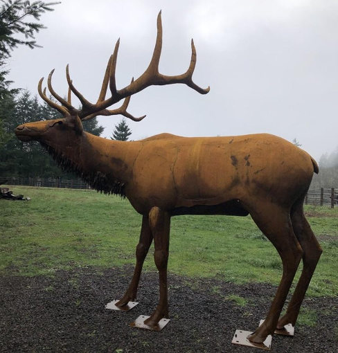 The Connection Between Nature and Art