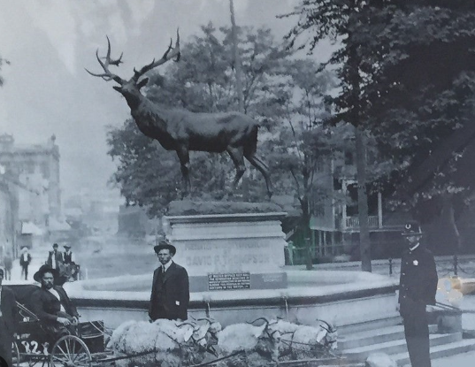 The Cultural Significance of Elk Art