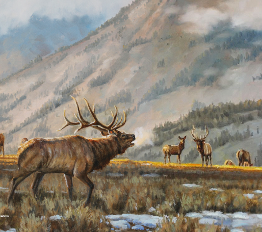 The Impact of Art on Conservation