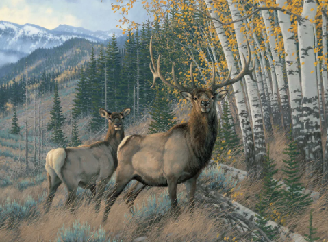 The Impact of Art on Conservation2