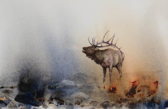 The Impact of Nature on Artistic Expression