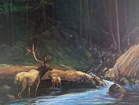 The Journey of Elk