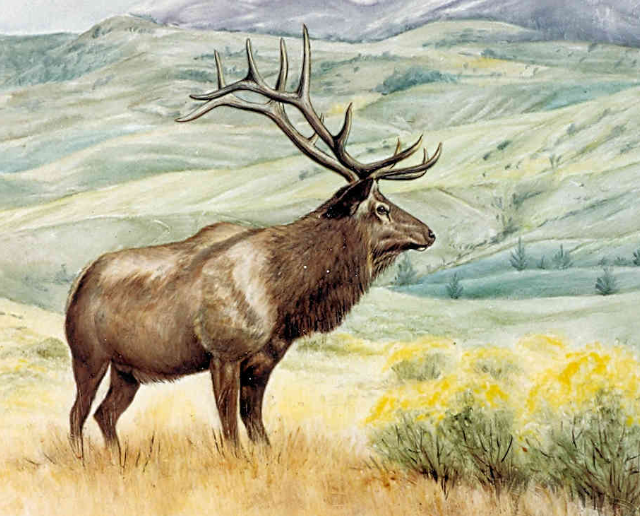 The Majesty of Elk in Art