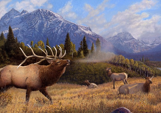 The Majesty of Mating Rituals