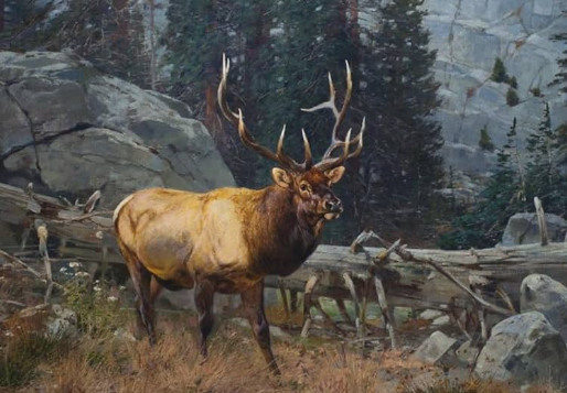 The Rise of Abstract Elk Portraits