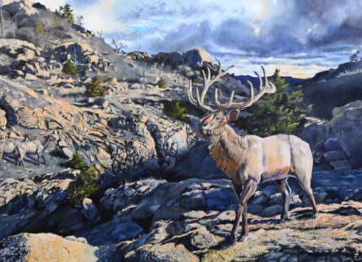 The Role of Elk Art in Conservation2