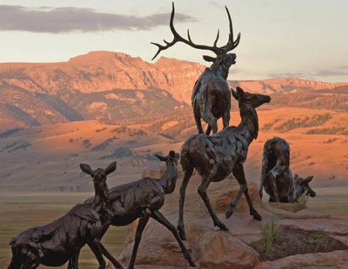 Types of Elk Art Available