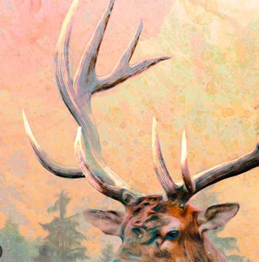 Unique Characteristics of Elk Antlers