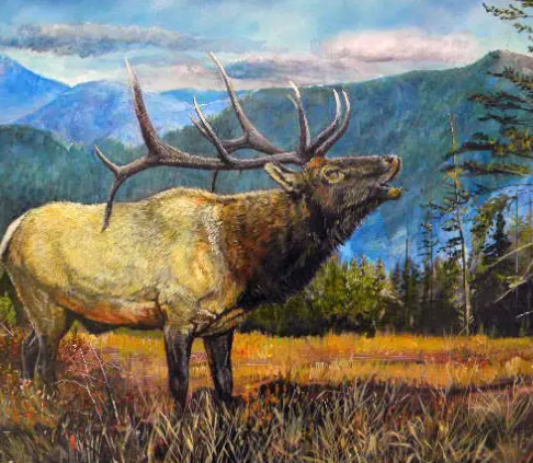 A Call to Conservation through Art