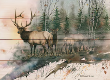 A Unique Blend of Nature and Creativity